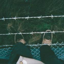 Rough Hands : Nothing's Changed